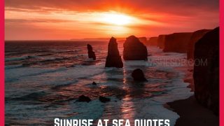 Sunrise at sea quotes: The most beautiful and exciting