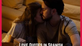 The 85 Best Love Quotes in Spanish (with Translation)