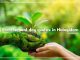 Environment day quotes in malayalam